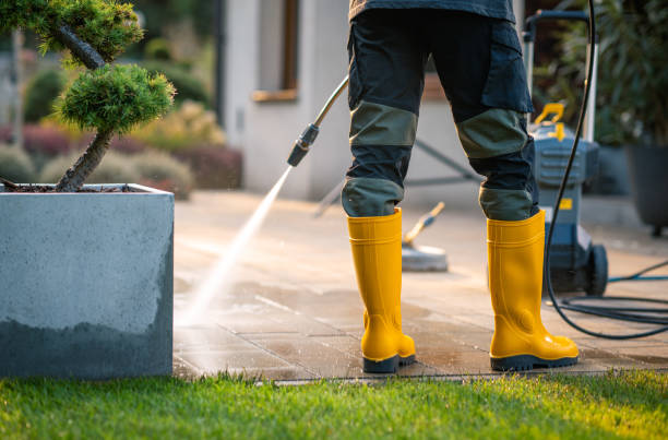 Best Pressure Washing Near Me  in Delmont, PA